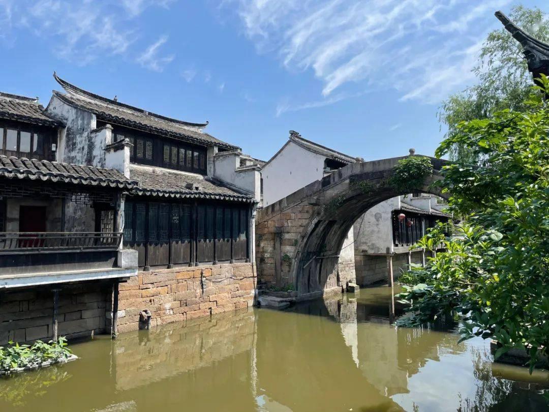 救援受困的萌兔